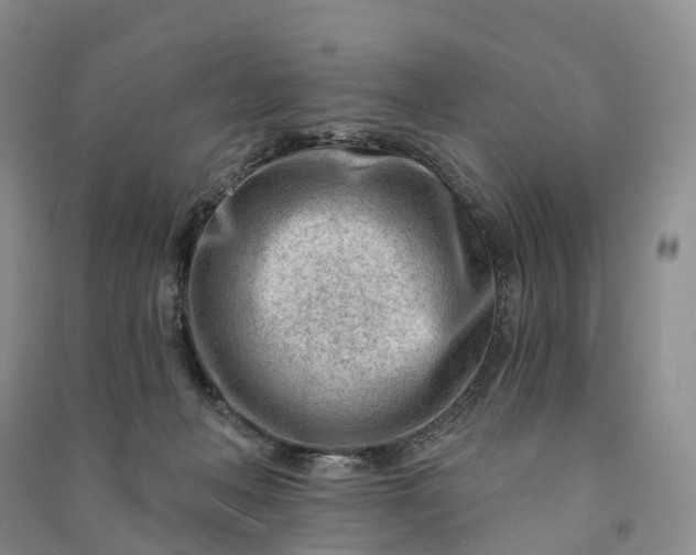 X0000090970222200708161842