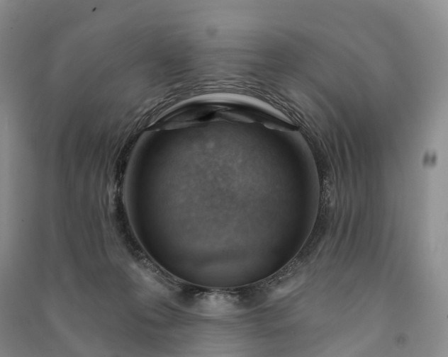 X0000090970223200708161842