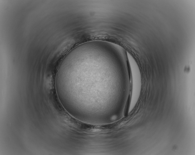 X0000090970224200708161842