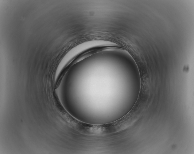 X0000090970225200708161842