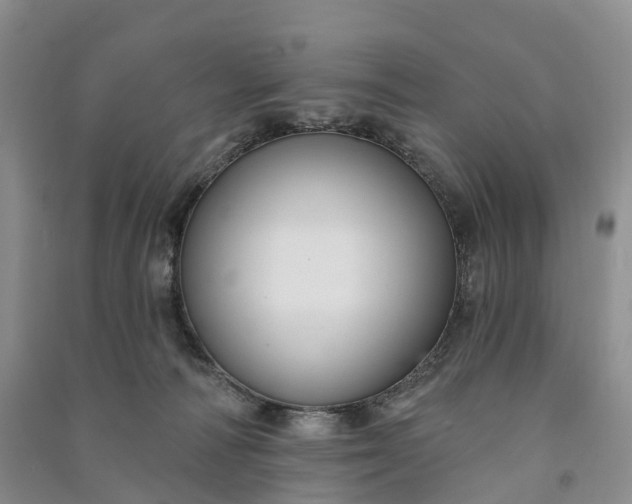 X0000090970226200708161842