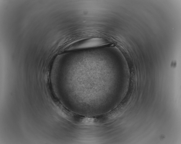 X0000090970227200708161842