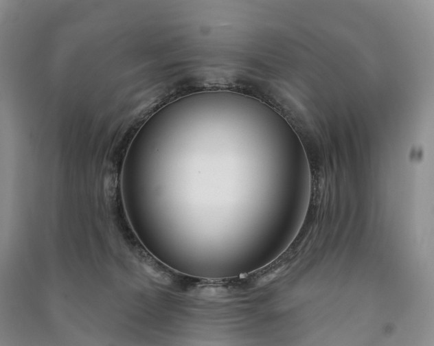 X0000090970228200708161842