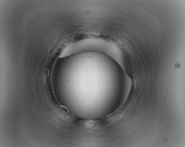 X0000090970229200708161842