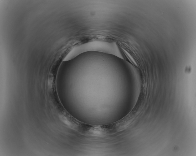 X0000090970231200708161842