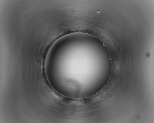 X0000090970232200708161842