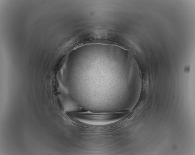 X0000090970233200708161842