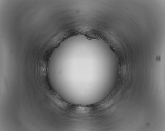 X0000090970234200708161842