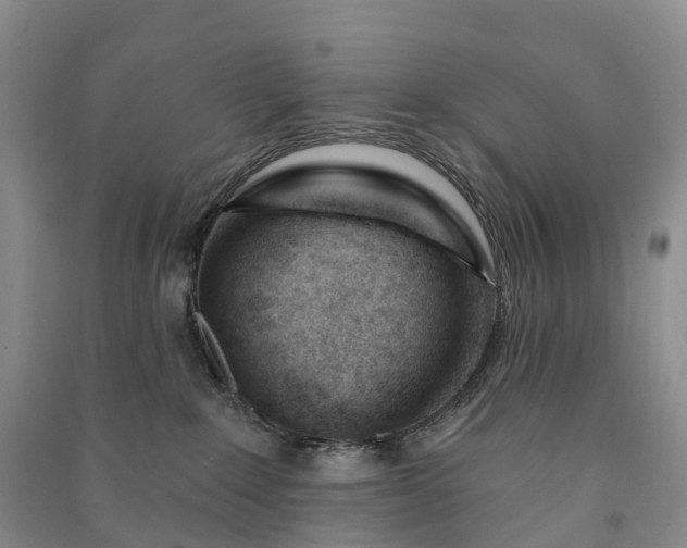 X0000090970235200708161842