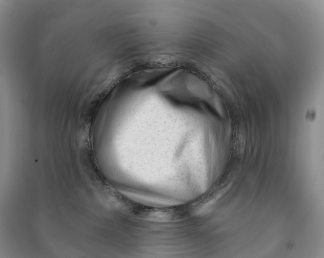 X0000090970236200708161842