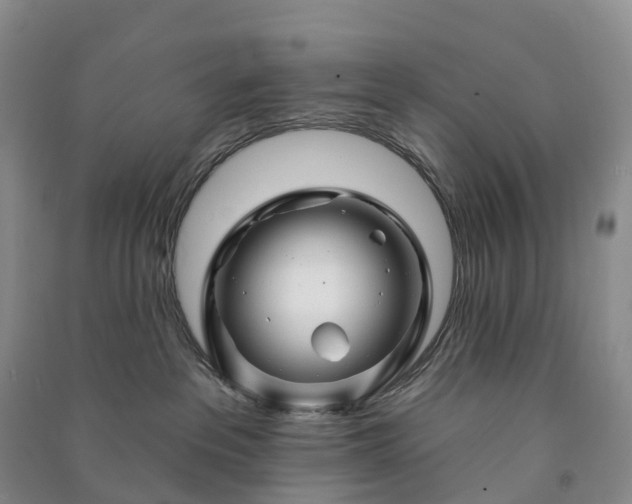 X0000090970237200708161842