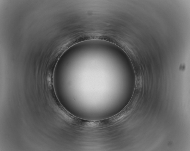 X0000090970238200708161842