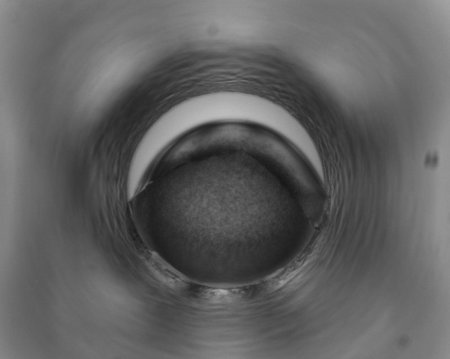 X0000090970239200708161842