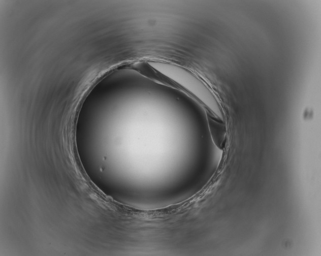 X0000090970241200708161841