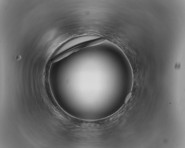 X0000090970242200708161841