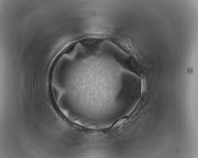 X0000090970243200708161841