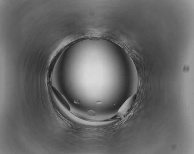 X0000090970244200708161841