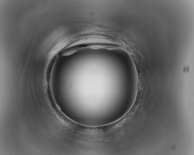 X0000090970245200708161841