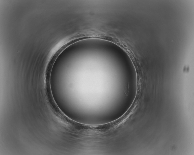 X0000090970246200708161841