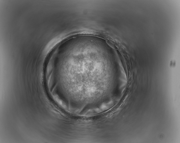 X0000090970247200708161841