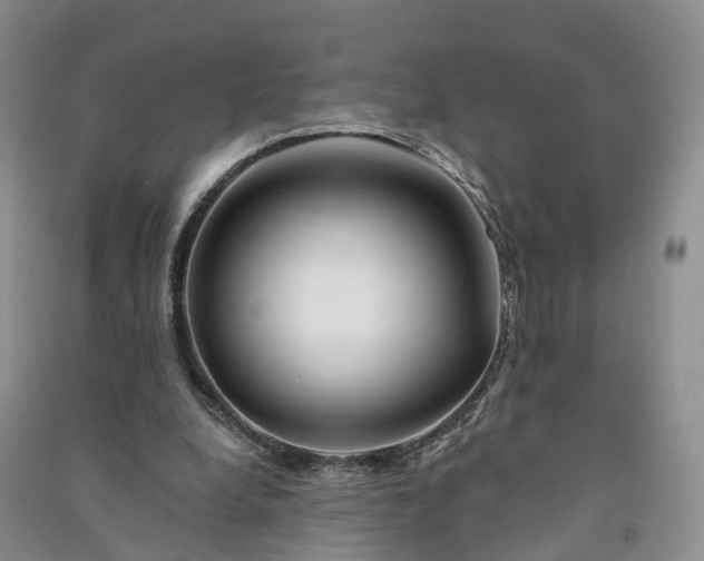 X0000090970248200708161841