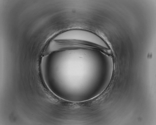 X0000090970249200708161841