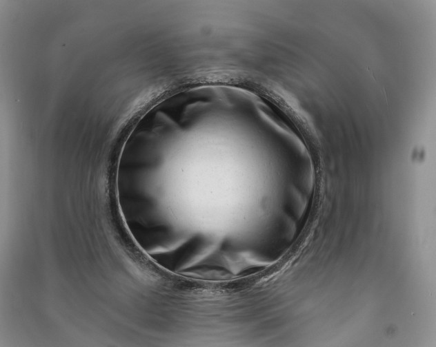 X0000090970250200708161841