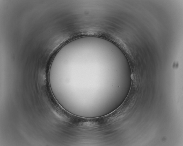 X0000090970251200708161841