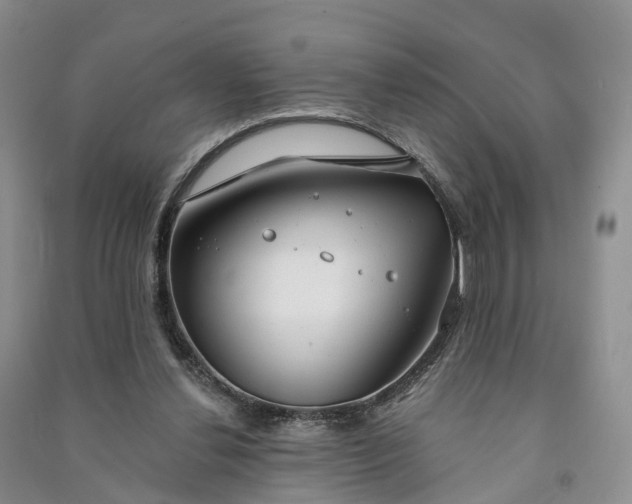 X0000090970252200708161841