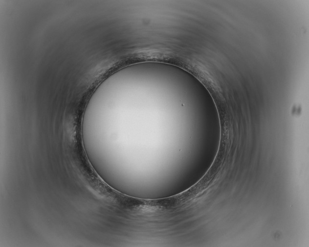 X0000090970255200708161841