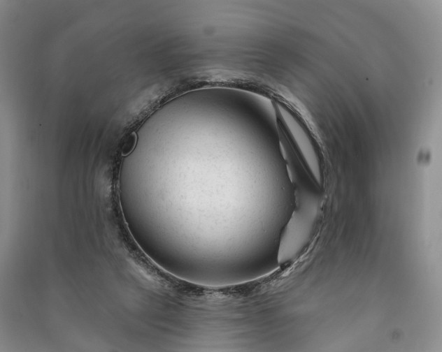 X0000090970257200708161841