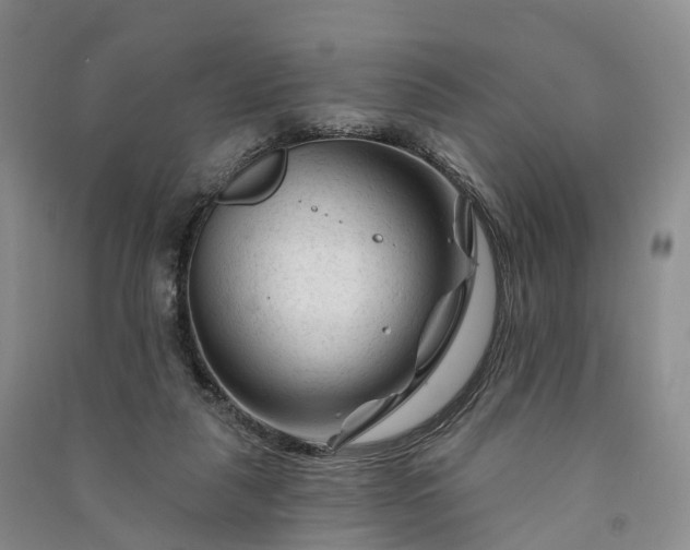 X0000090970259200708161841