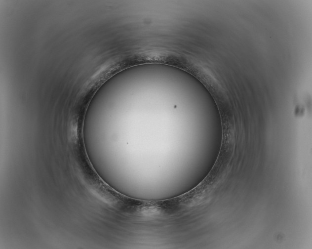 X0000090970262200708161841