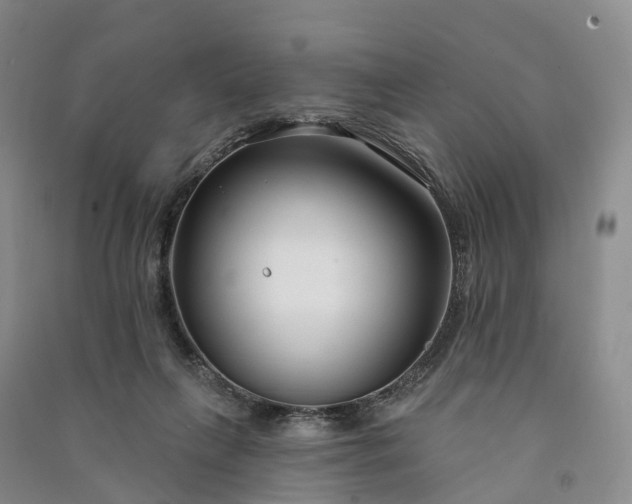 X0000090970263200708161841