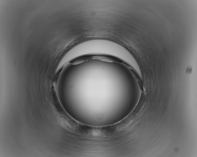 X0000090970264200708161841