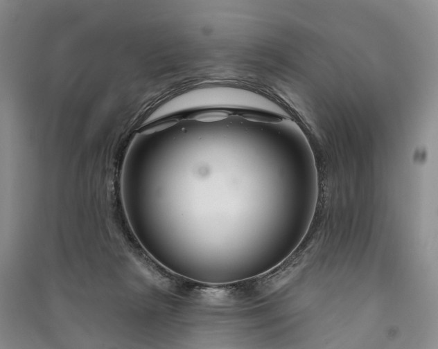 X0000090970265200708161841