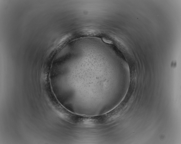 X0000090970268200708161841