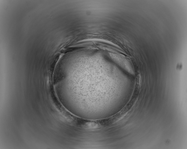 X0000090970272200708161841