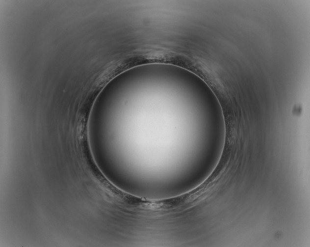 X0000090970273200708161841