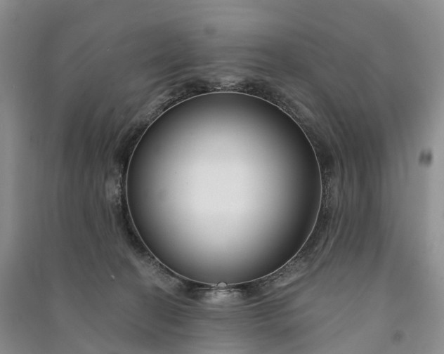 X0000090970274200708161841