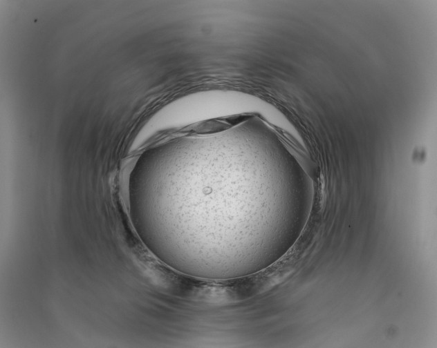 X0000090970276200708161841