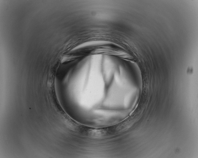 X0000090970277200708161841