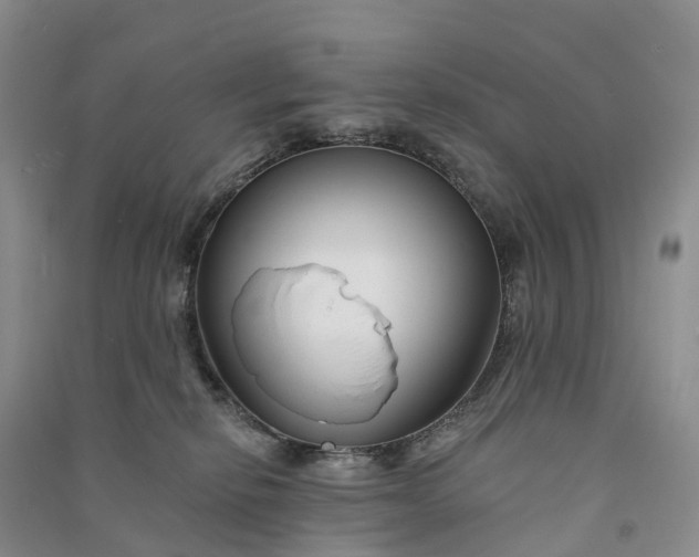 X0000090970278200708161842