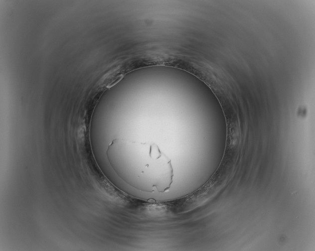 X0000090970279200708161842