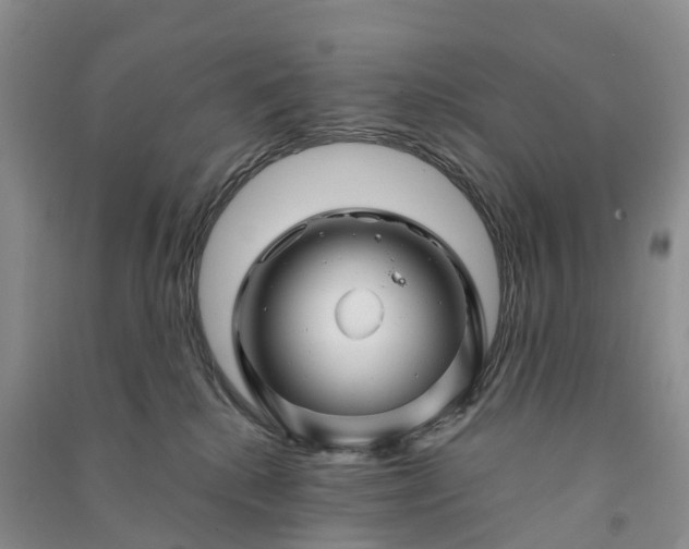 X0000090970280200708161842