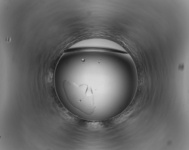 X0000090970281200708161842