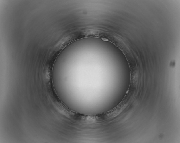 X0000090970282200708161842