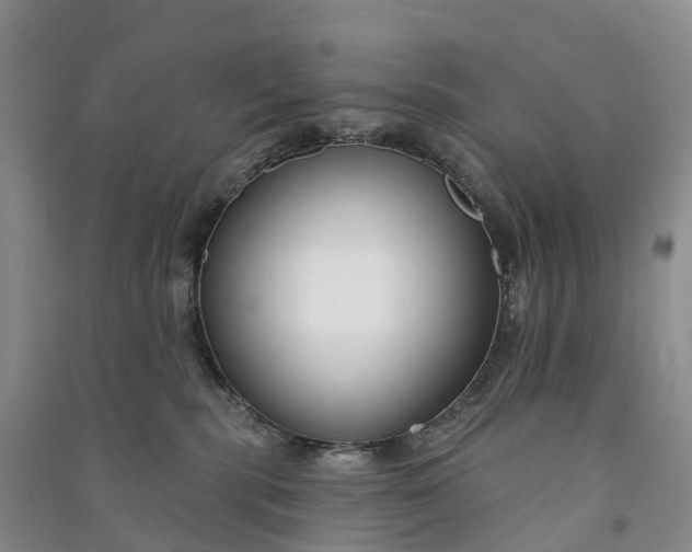 X0000090970283200708161842