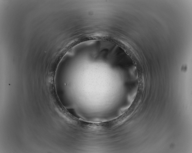 X0000090970284200708161842