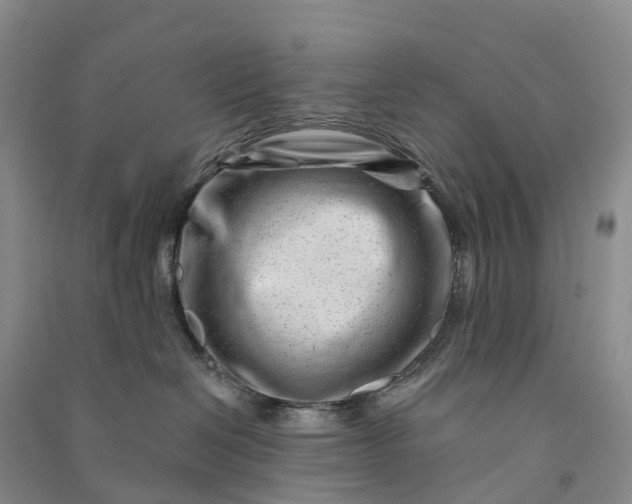 X0000090970286200708161842